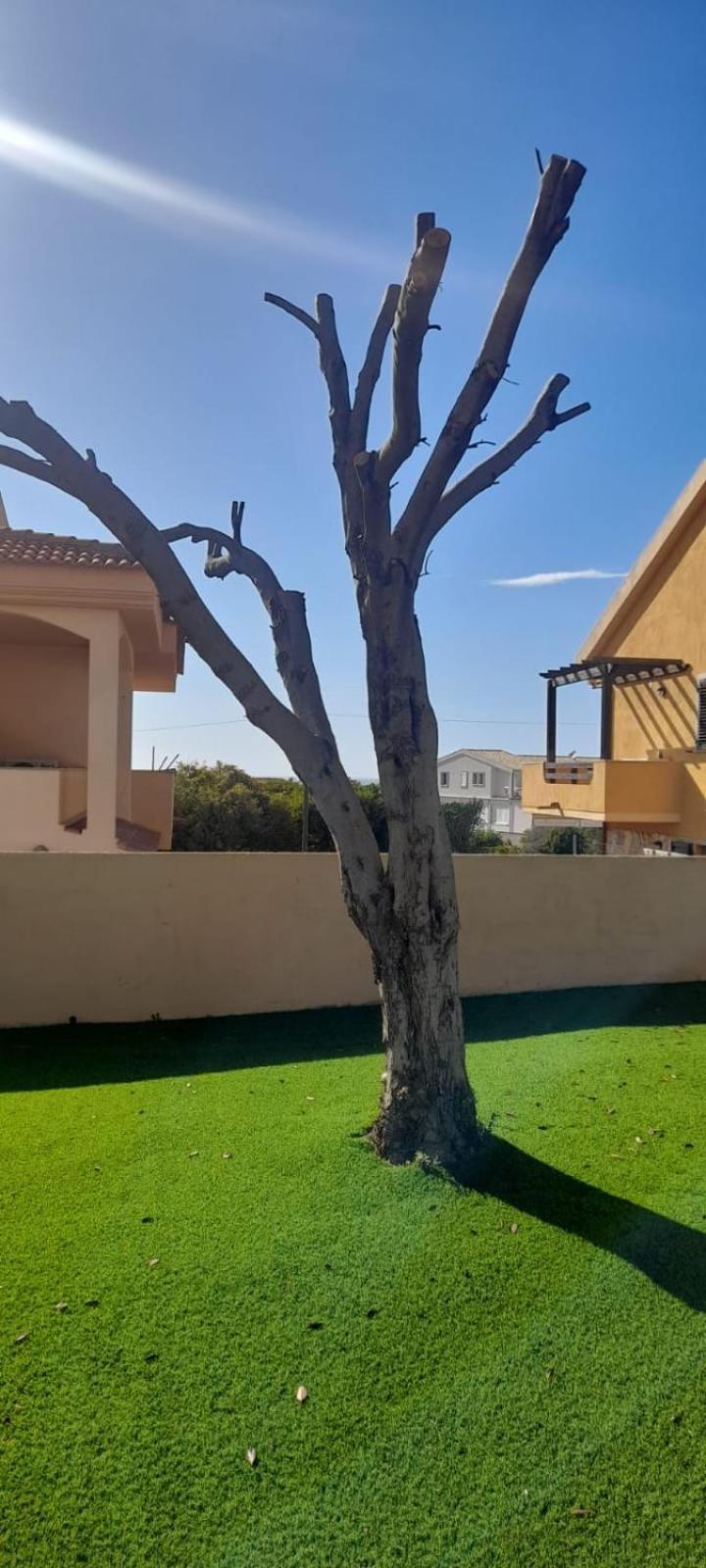 Appartamento Residence Tartaruga 3 Castelsardo Zewnętrze zdjęcie